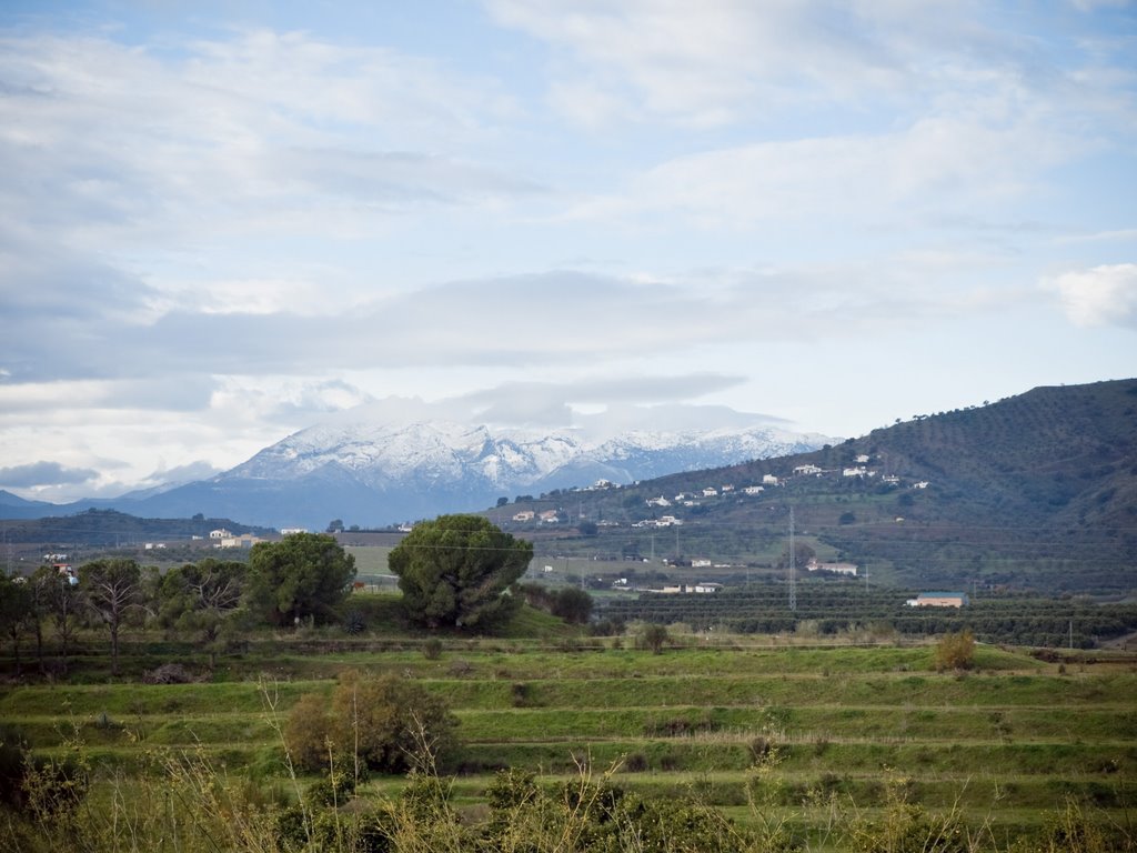 Sierra de las nieves Diciembre 08 by Diego Gil Navarro