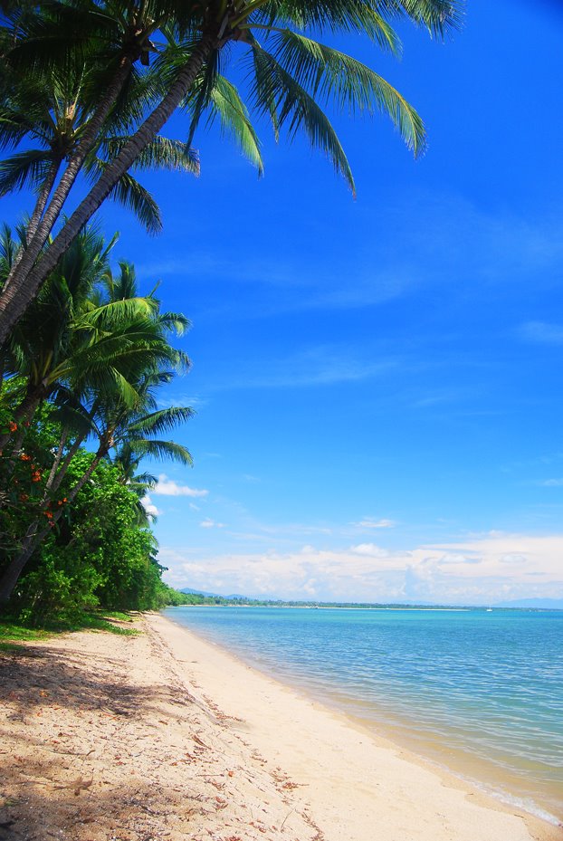 Beach Cardwell Queensland Australia by John Lotsari