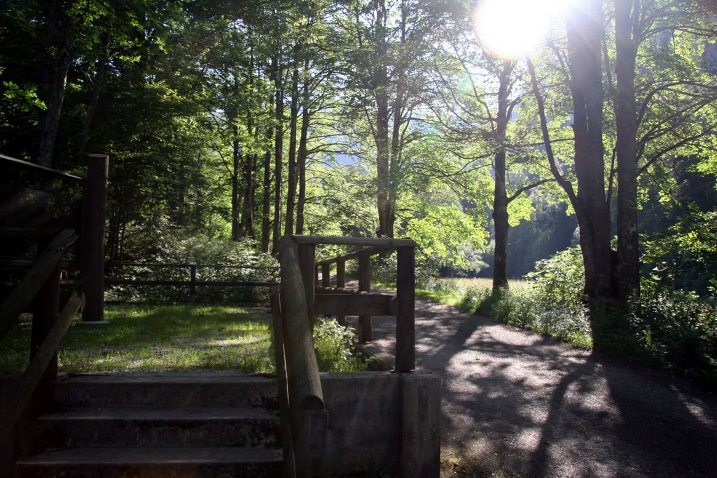 Wanderweg vom Creux-du-Van by vodua