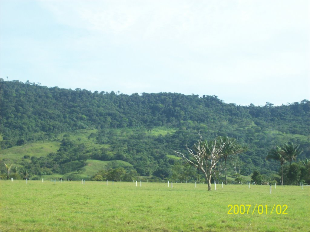 Llanos De Cundinamarca cerca de Paratebueno by diegofernando