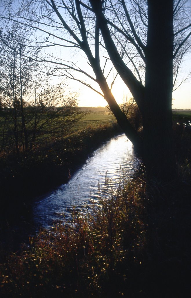 Herbstsonne an der Holmau by Jörn KH