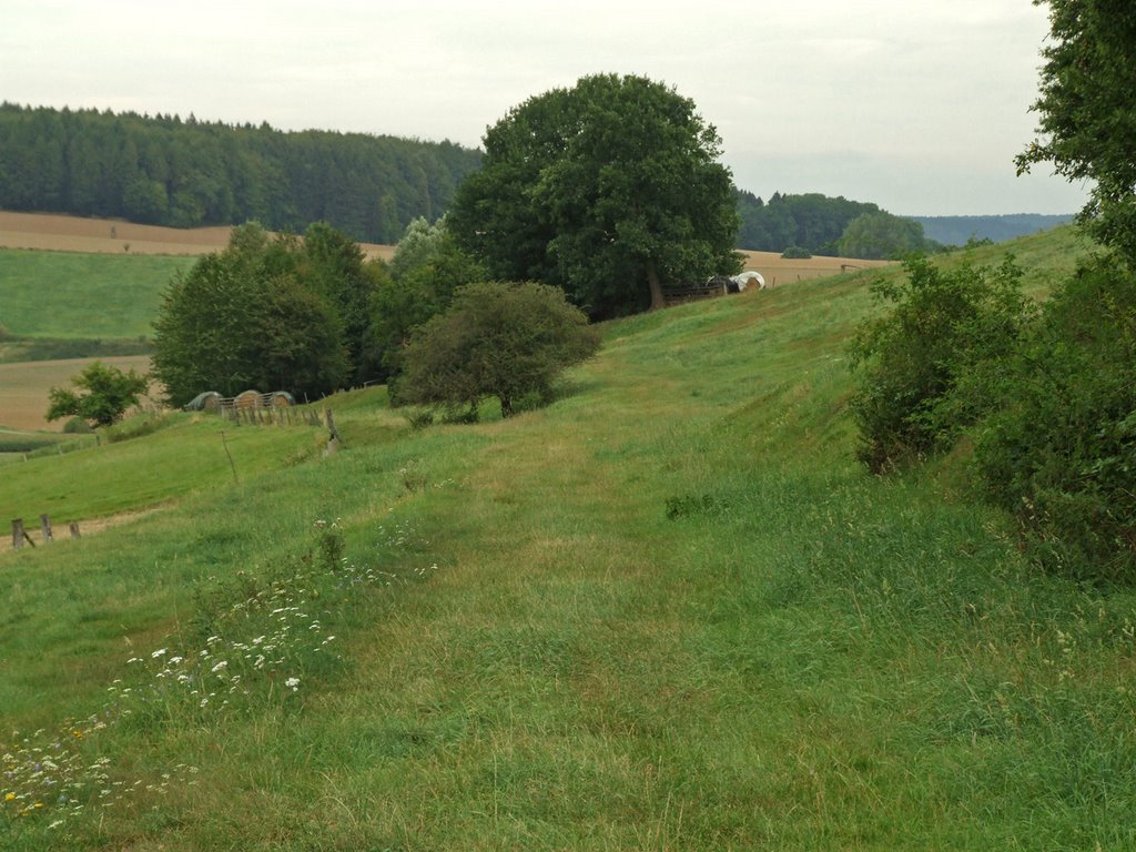 Kreisbahn Osterode-Kreiensen - Strecke Richtung Westerhof by oeftermalwasneues