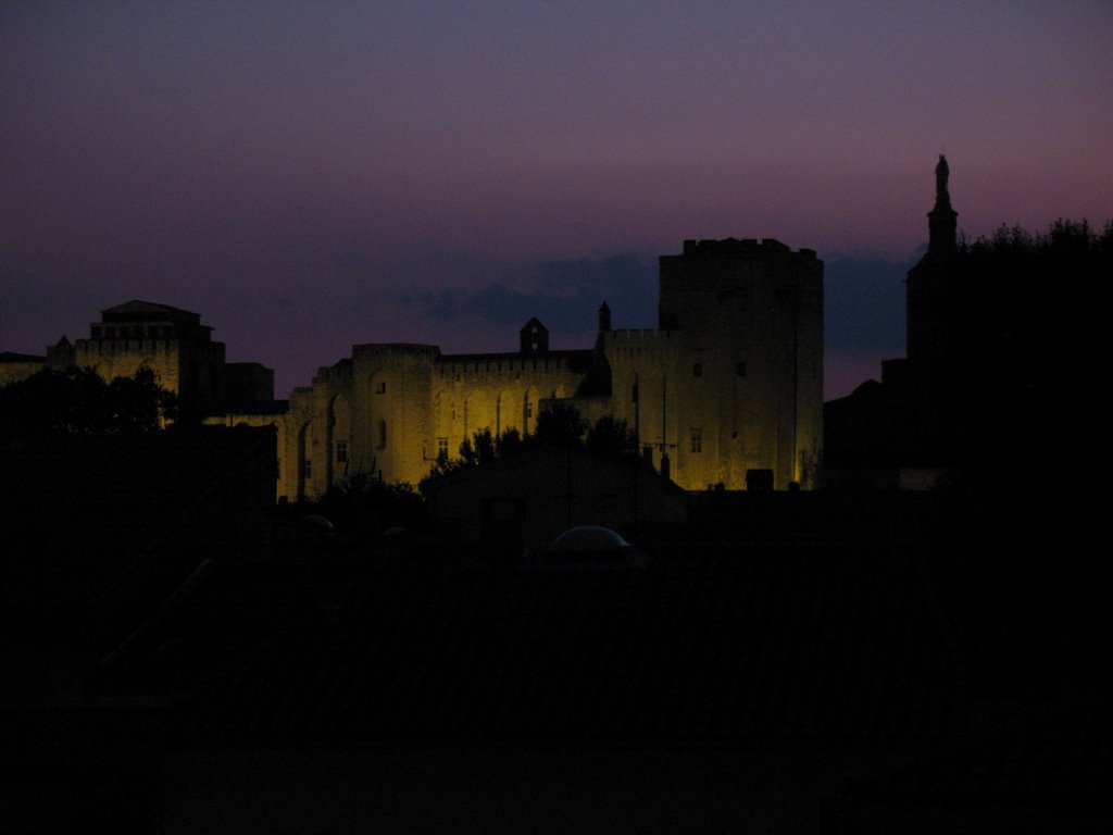 France - Vaucluse - Avignon - Palais des papes by closthorel