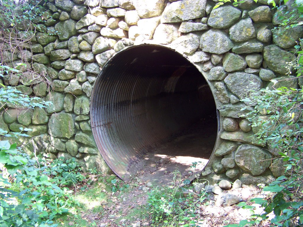 Historic livestock tunnel under Race Lane by plumbum960