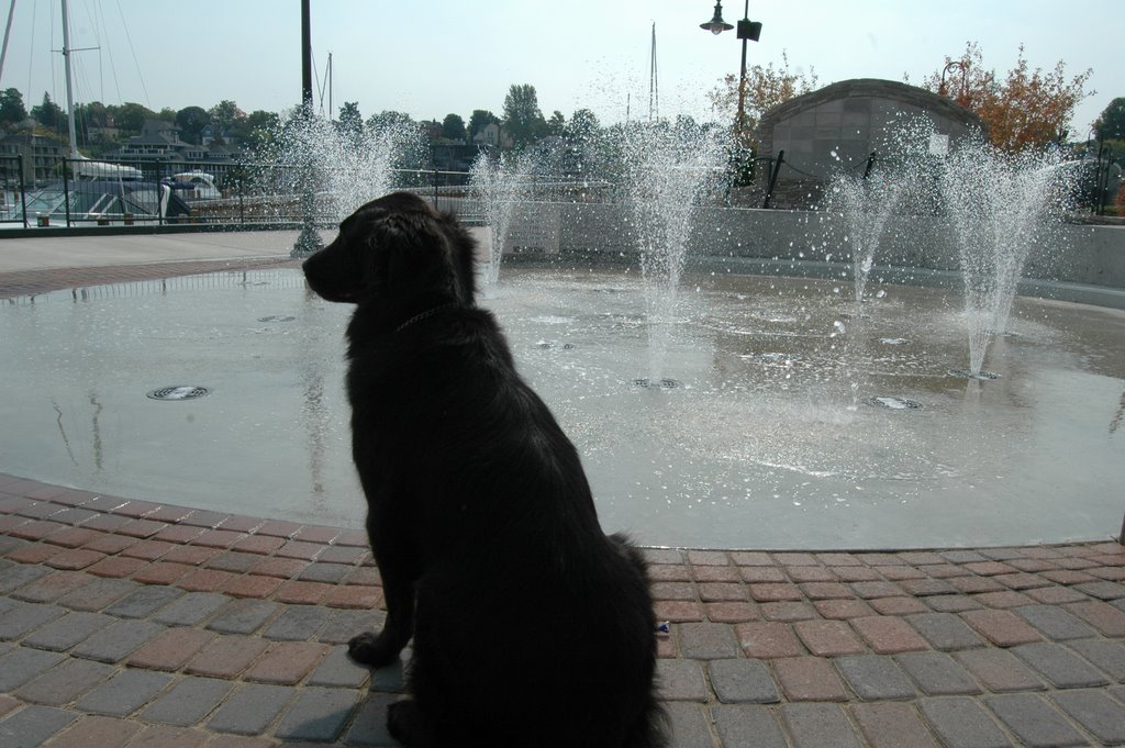 Douglas at the fountain by Douglas "the famous …