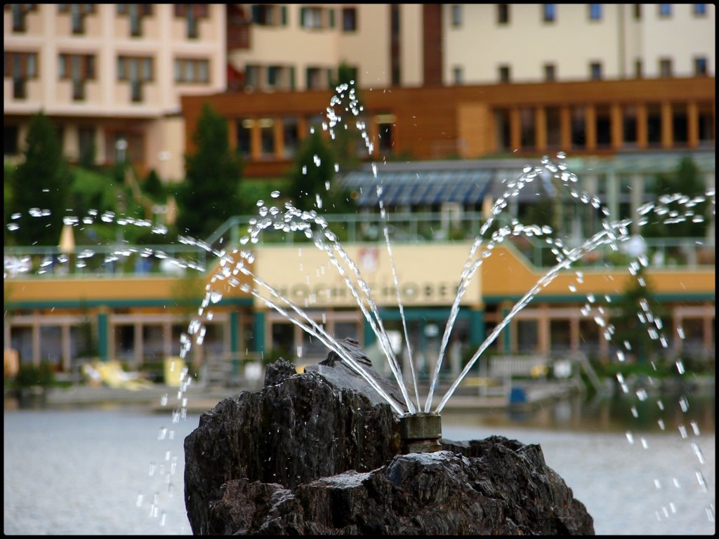 Hotel HOCHSCHOBER by Eliseo Jonen