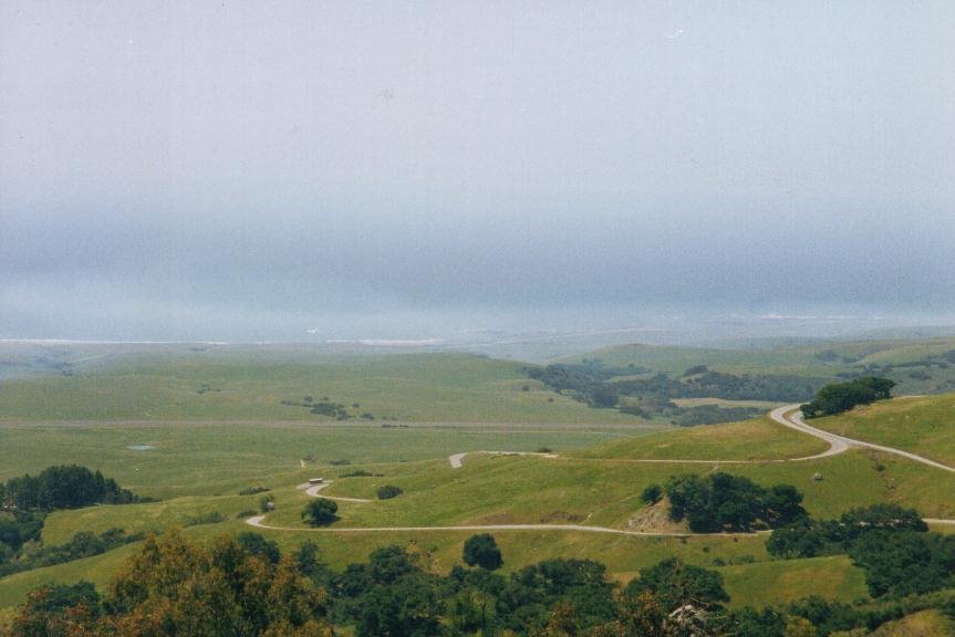 View from Hurst Castle, San Simeon by Don Rifflart