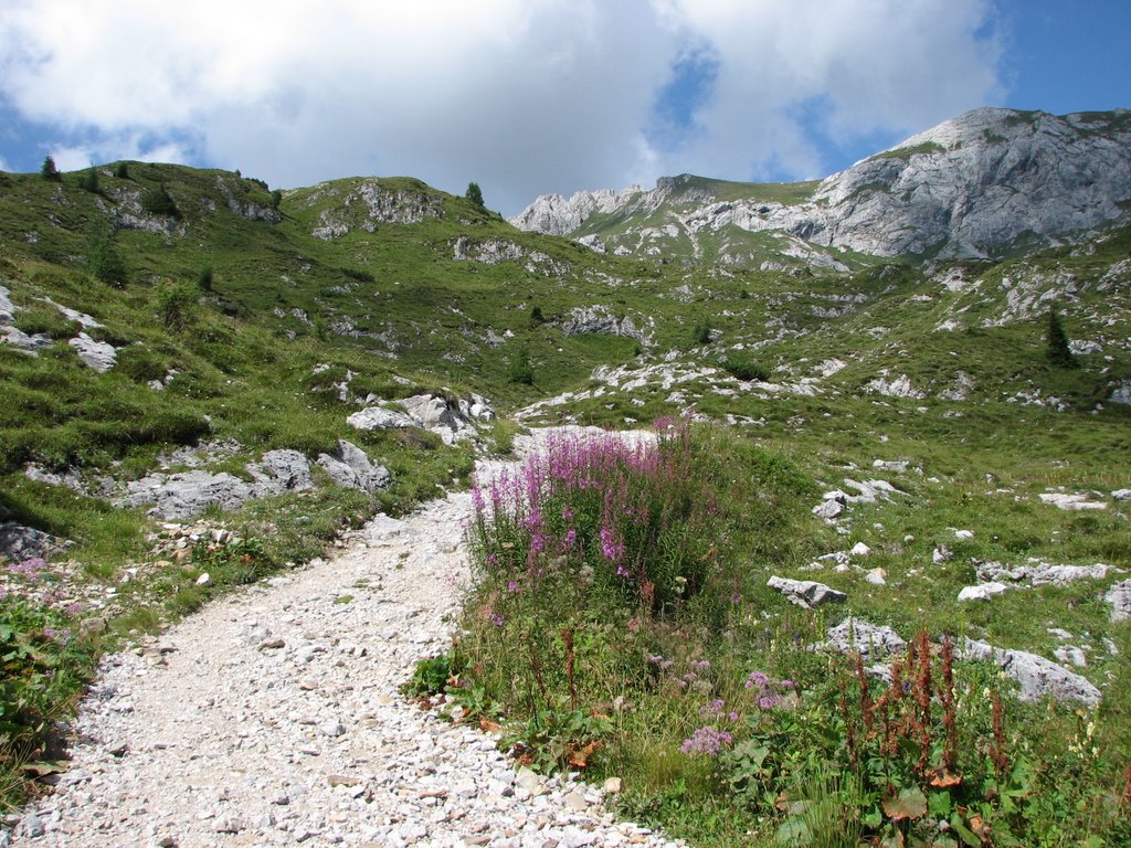 Quasi arrivati ai laghi by alepav