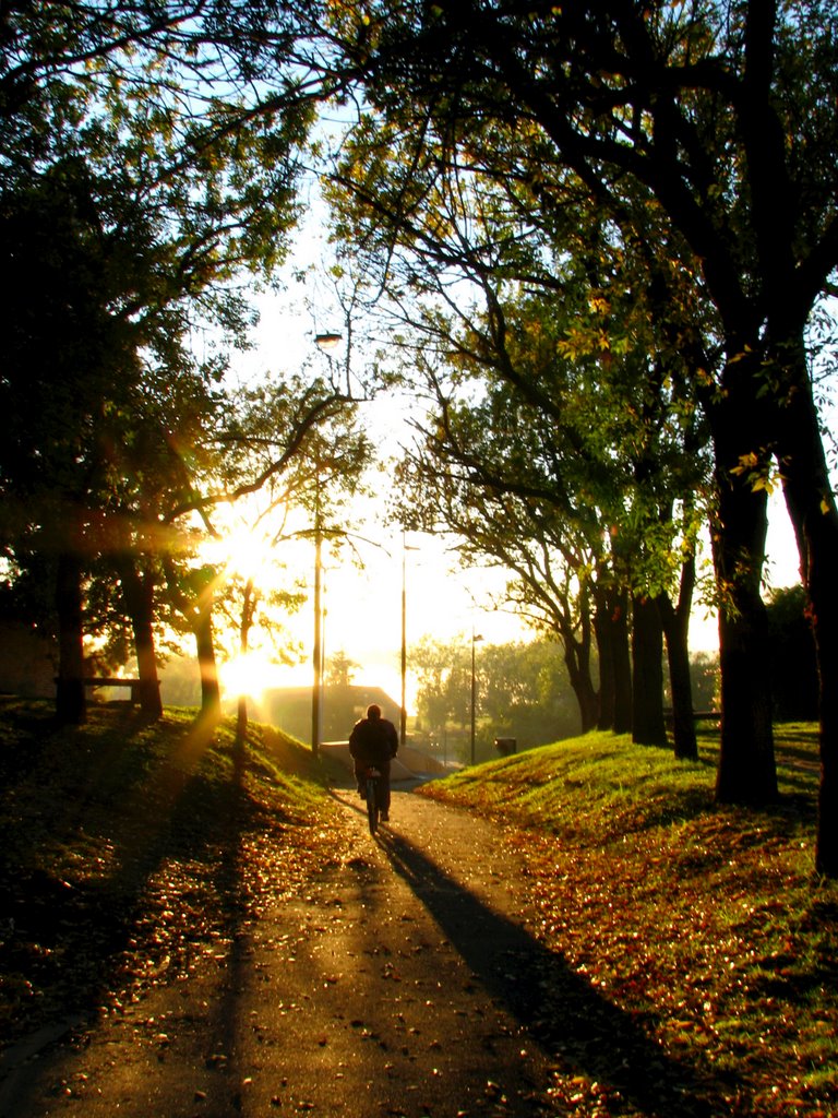 AMANECER EN ROSARIO by andrea bosetti