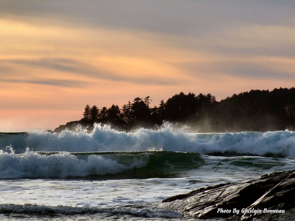 2009-01-14-274-CHESTERMAN BEACH NEAR WICKANINNISH INN-TOFINO-B.C.-(More Photos on My Website at gbphotodidactical.ca) by GHISLAIN BONNEAU