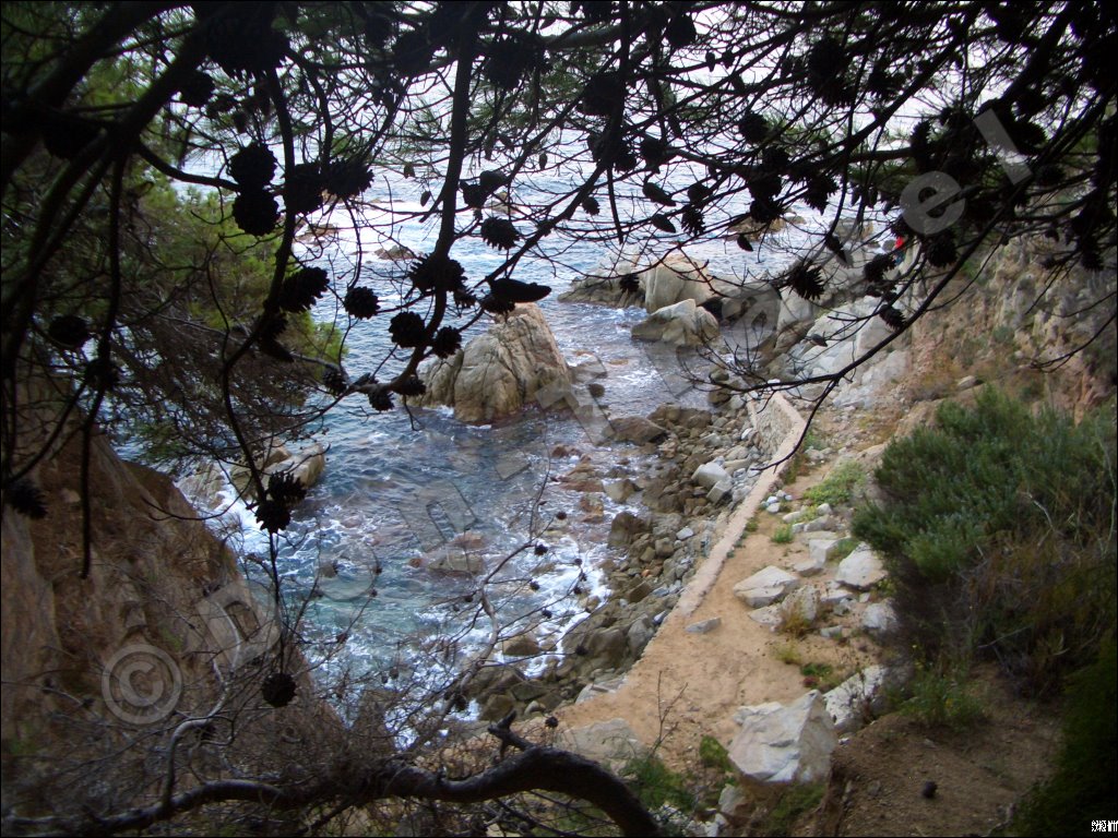 Playa de la Tortuga - Cala La Tortuga - Platja de la Tortuga- La Tortuga Beach - Lloret de Mar - Costa Brava by Don-Travel.com