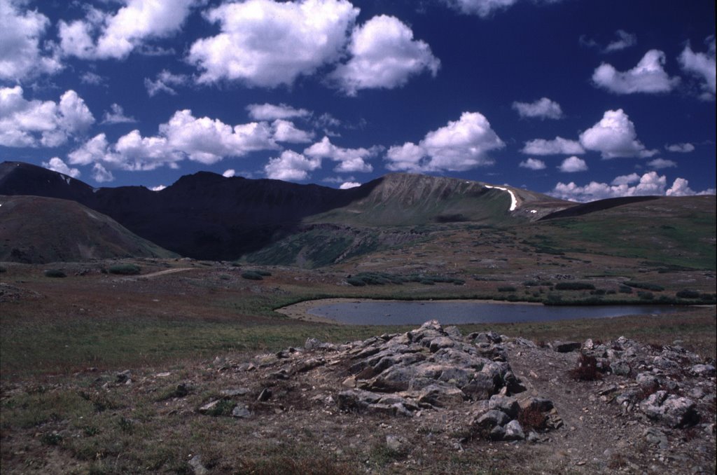 Independence Pass in August by Stegan