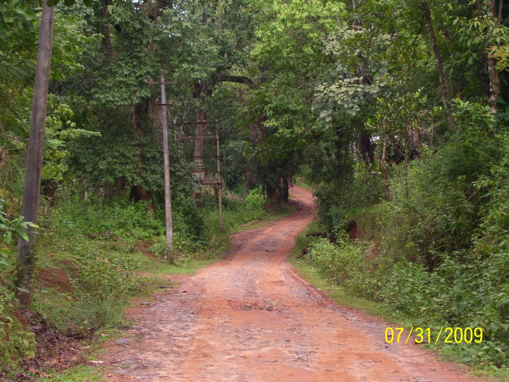 Road by Kiran Poojary