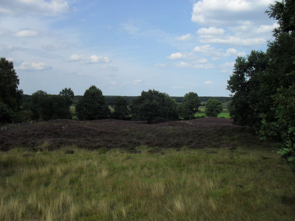 Grabhügelfeld Mansenberge Klein Berßen by waldfee061163