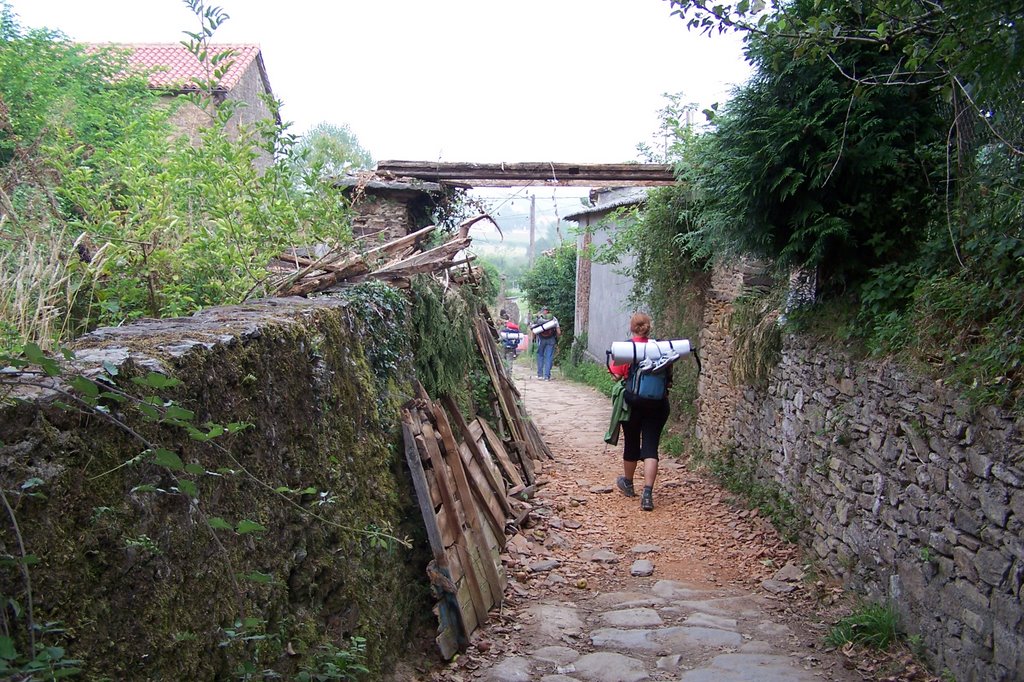 ¿Donde está el hórreo en el Camino? (A Calle-Ferreiros-O Pino) by C.A.O.S