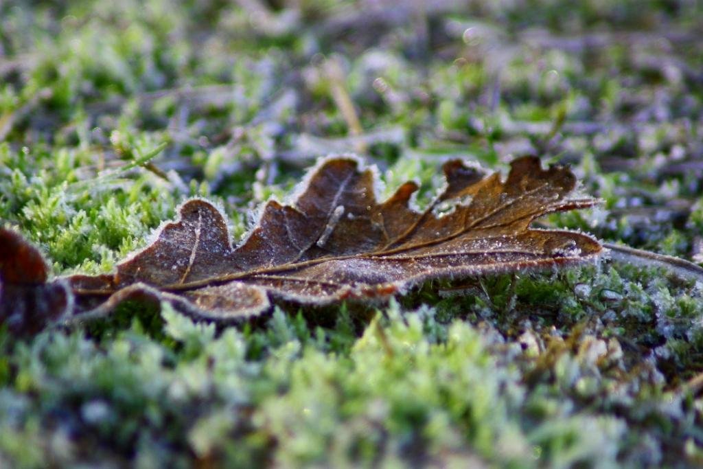 A hideg fogságában by Július