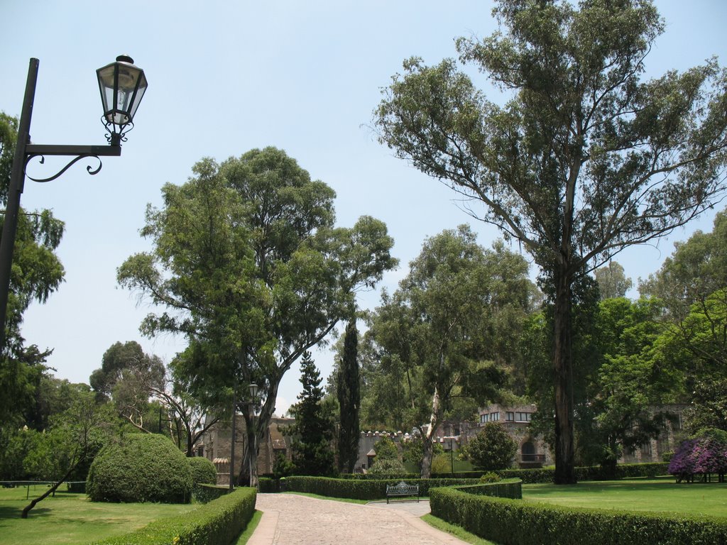 Camino A La Casa De Dolores Olmedo by Stefan Schweikert