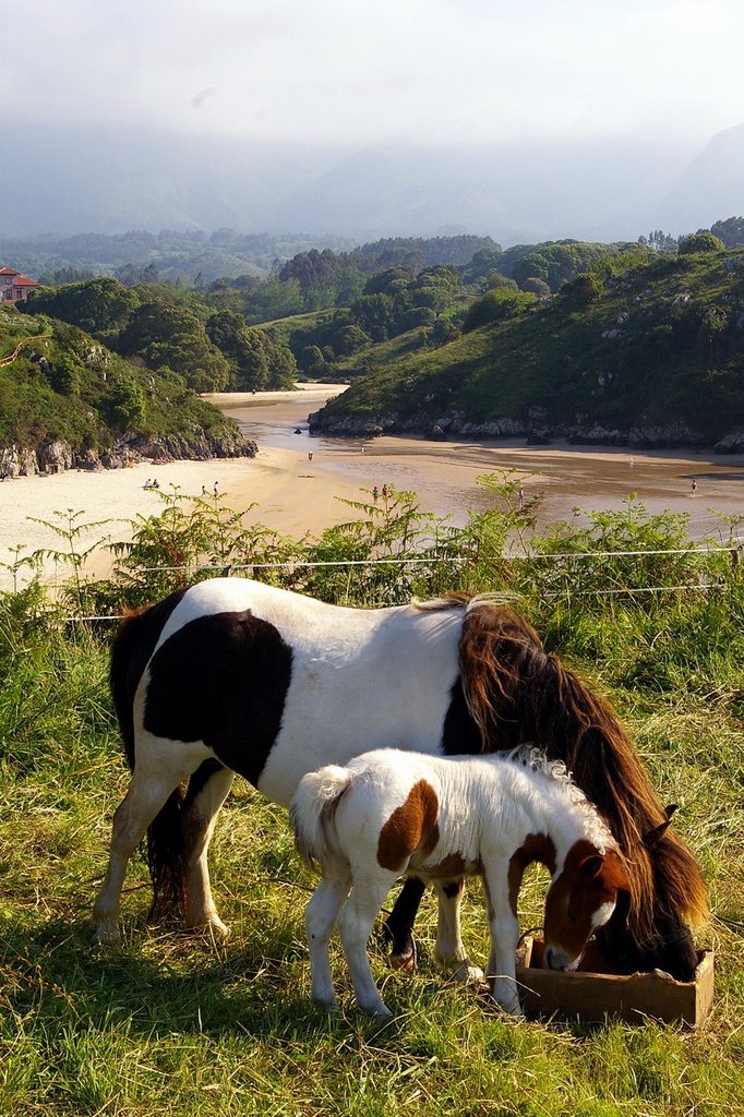 Playa de Po, LLanes, Asturias by Antonio Alba