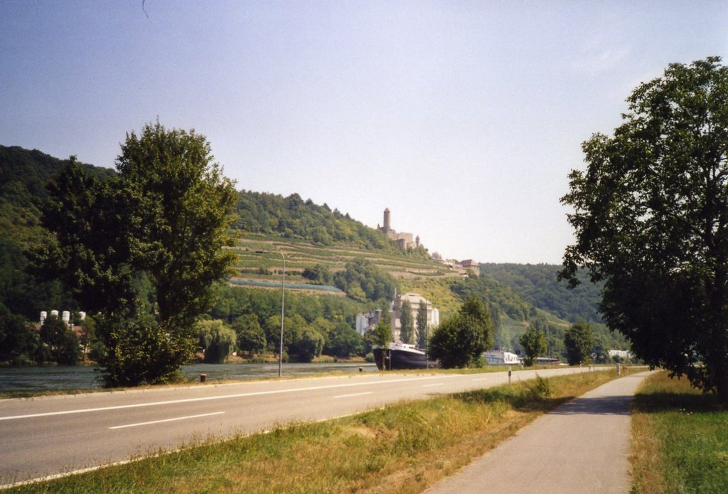 Le Neckar et le Burg Hornberg by alpha201