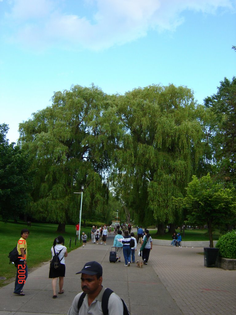 Toronto Islands by alysson3