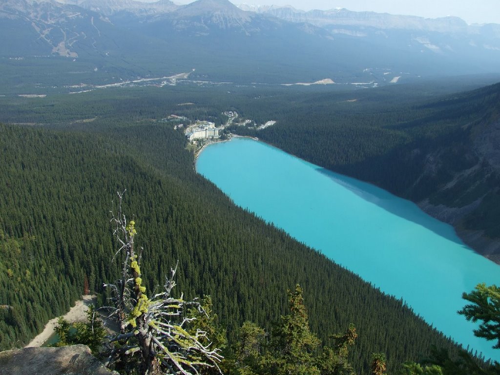 Lake Louise vom Big Beehive by pscha