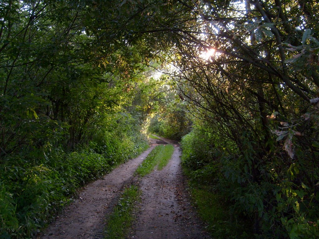 Coś jak tunel ;) by paweł páll ævar