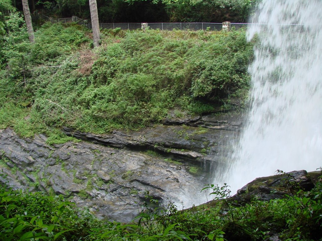 Loud crashing river falls into the gorge by Jean Gregory Evans