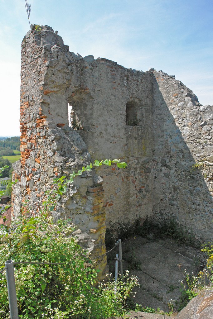 Burg Winzer by Egerter Sebastian