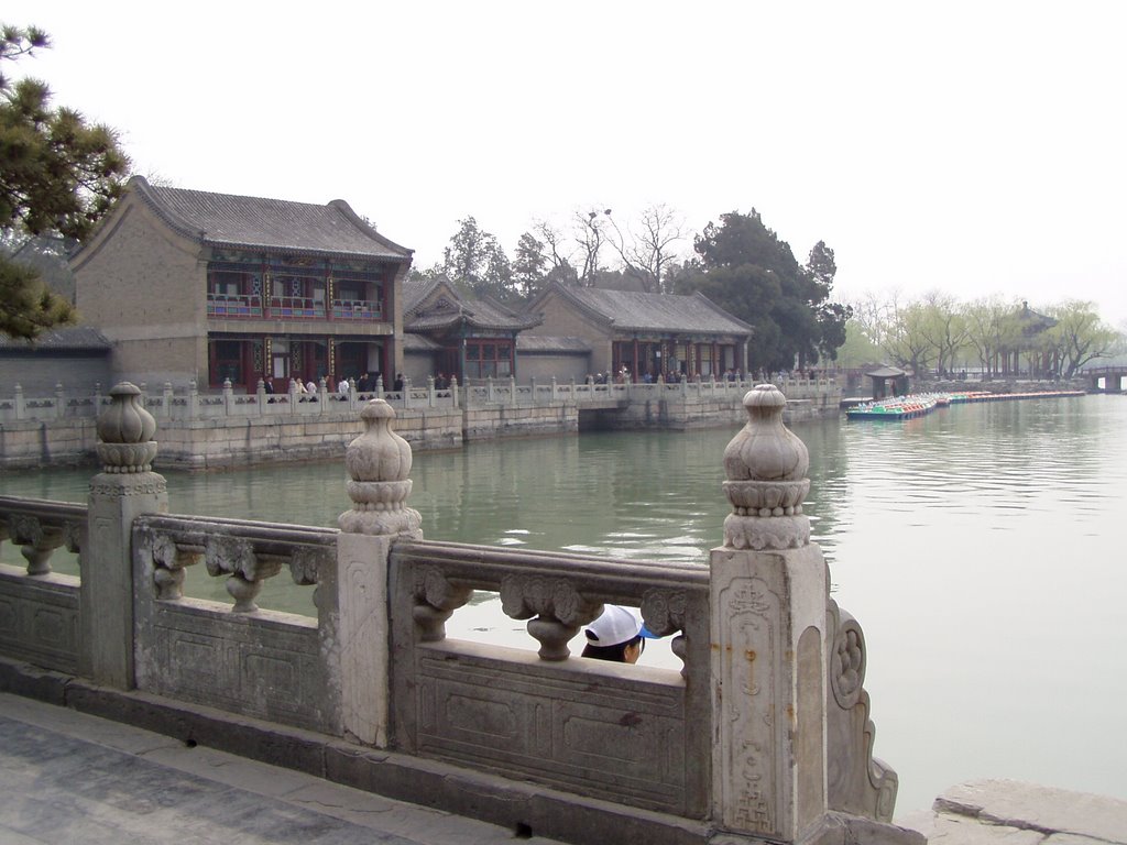 Inside Forbidden City by Wu Da