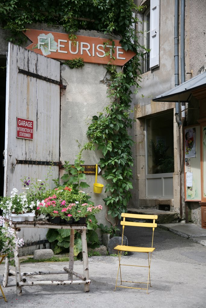 Florac, Lozère, Languedoc-Roussillon, France by Hans Sterkendries