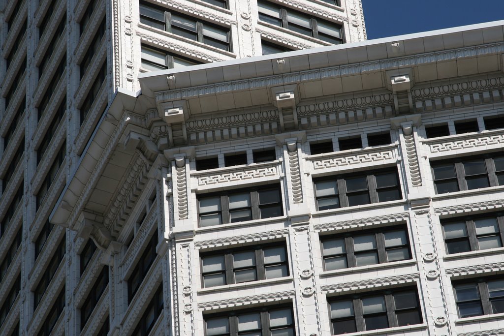 Smith Building Seattle by Nick Terrett