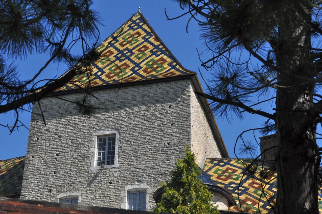 Santenay: le château by fam_mon