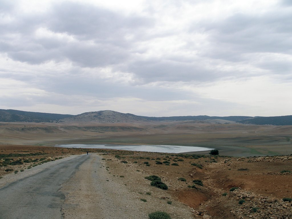 Ifrane Province, Morocco by martijn van hal