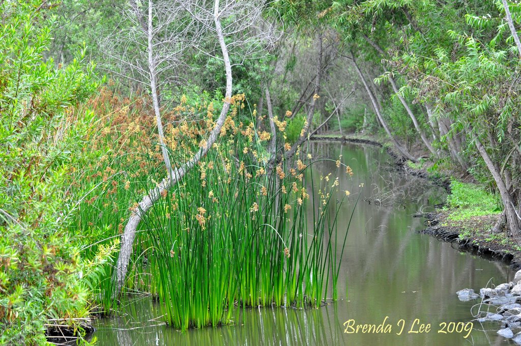 River Scene from San Joanquin by BJLeeImageQuest.com