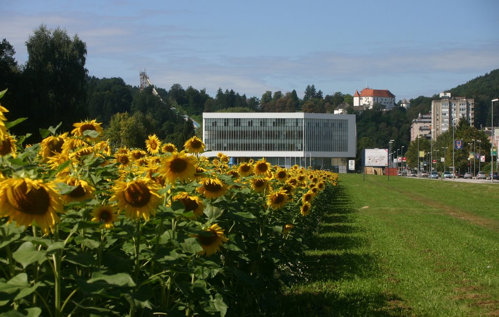 Velenje, late summer 09 by pesjaner