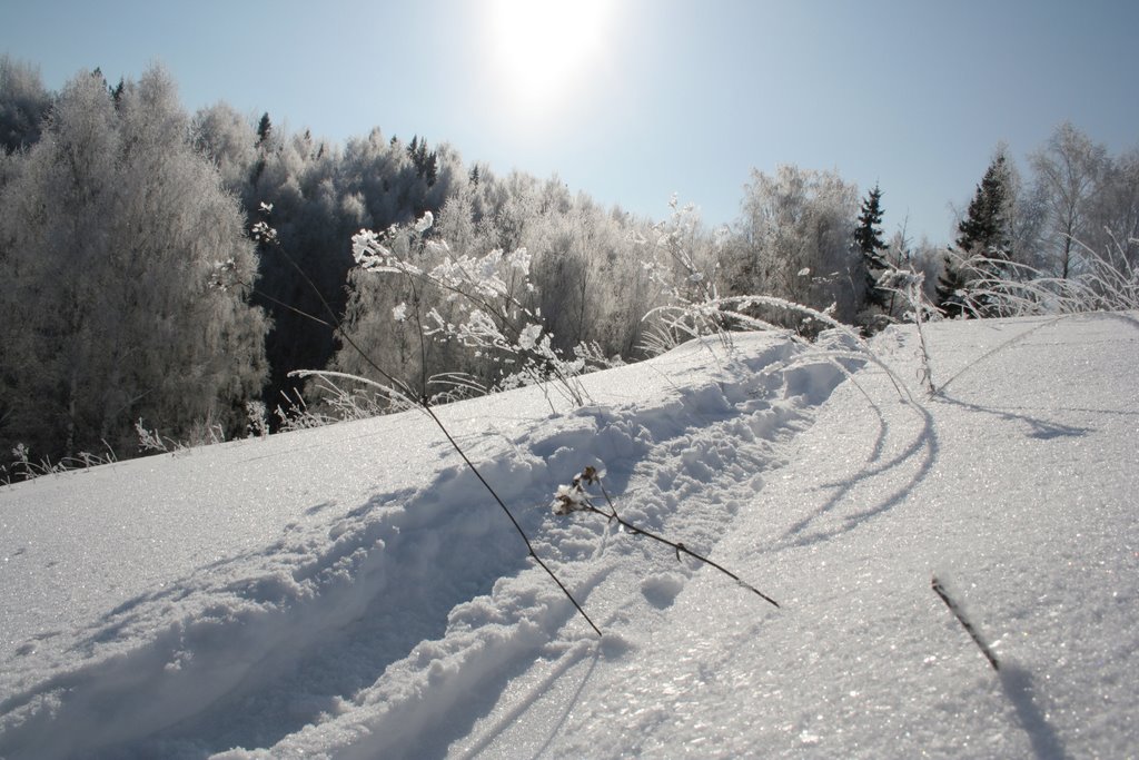 Anisimovo. Winter. Sun&Snow. by Oleg Ganyukhin