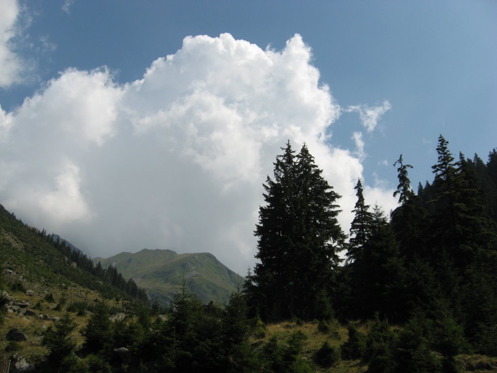 Arefu, Romania by Madalina Irina