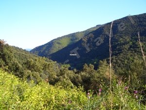 Parque Natural Montseny - Parc Natural Montseny by Don-Travel.com