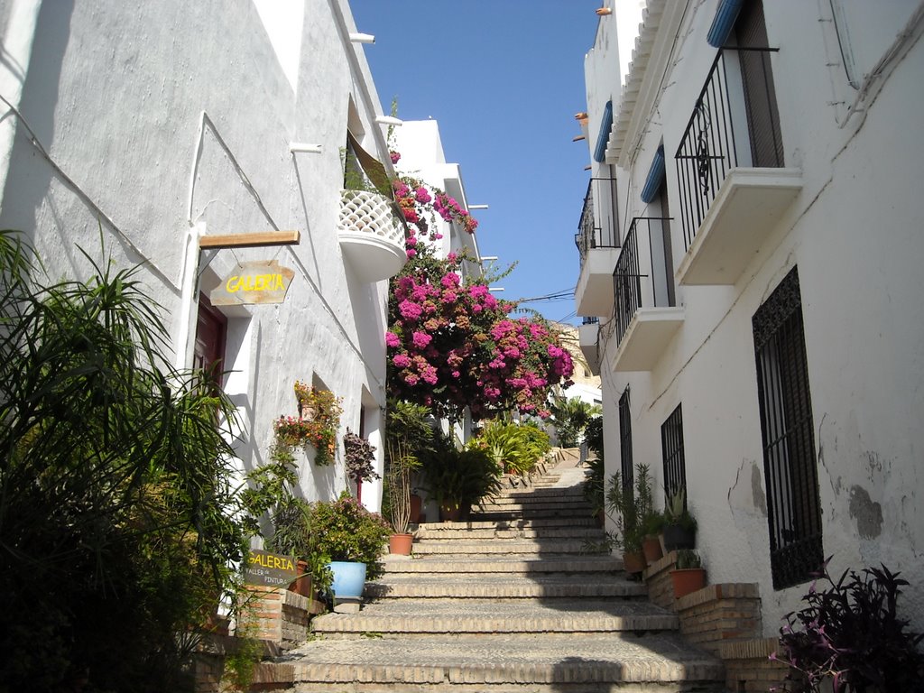 Callejuelas de Salobreña. Una escalinata florecida, una cuesta hacia el cielo azul. Agosto de 2009 by viajeroandaluz