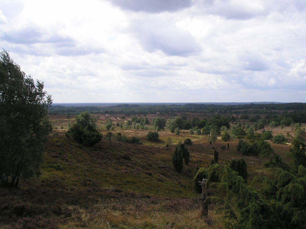 Heidelandschaft am Wilseder Berg by BjörnGehrs