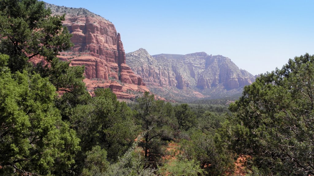 Bell Rock, Sedona, Arizona by Christian31