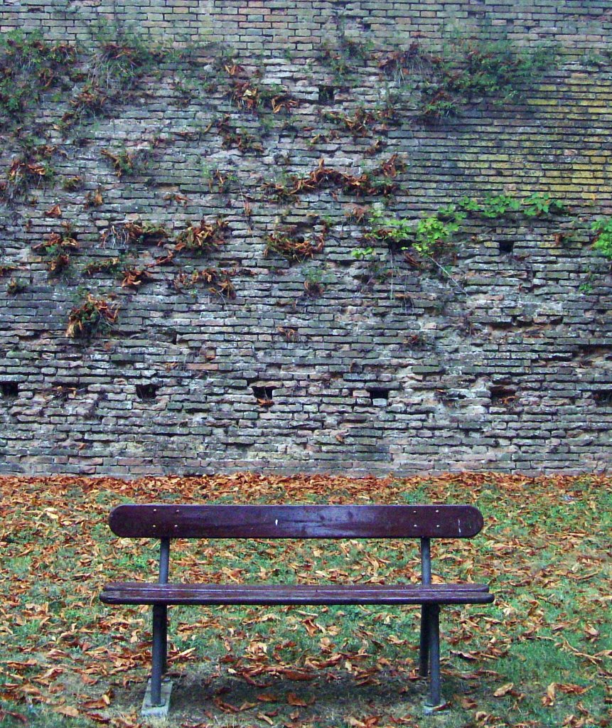 Faenza - Via Lapi - Mura Manfrediane by esse est reminisci (SAVE PANORAMIO)