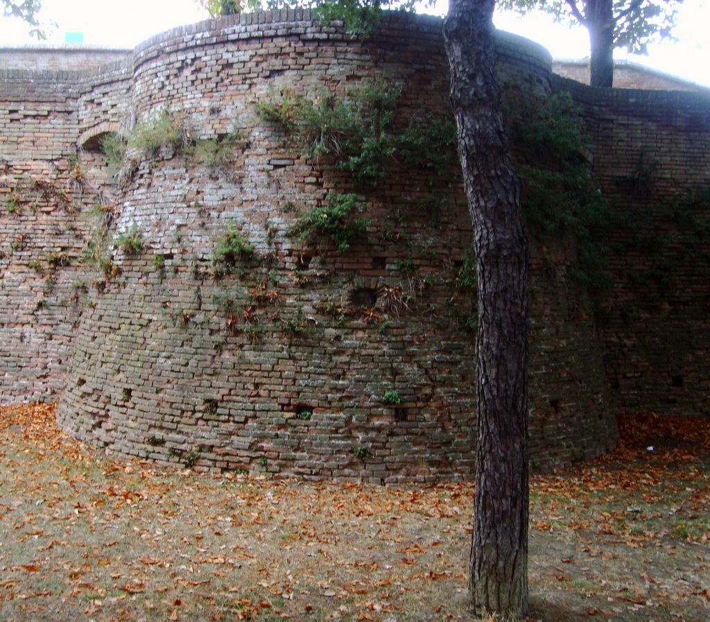 Faenza - Via Lapi - Torricino delle Mura by esse est reminisci (SAVE PANORAMIO)