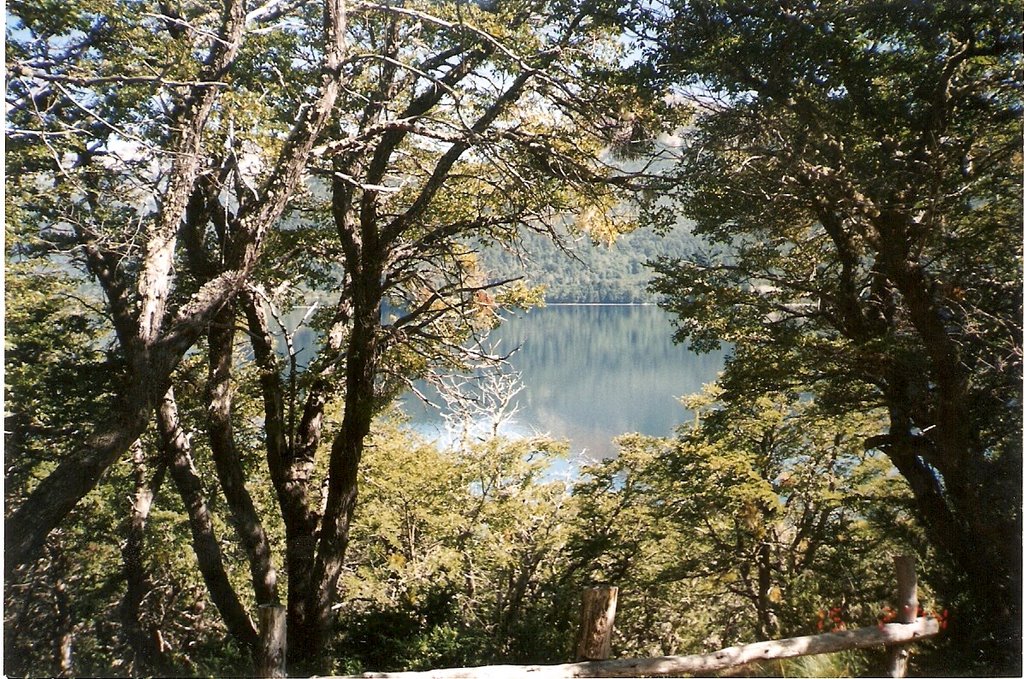 VISTA DEL LAGO MOQUEHUE DESDE CAMPING TRENEL by SERGIO RAUL VIOLA