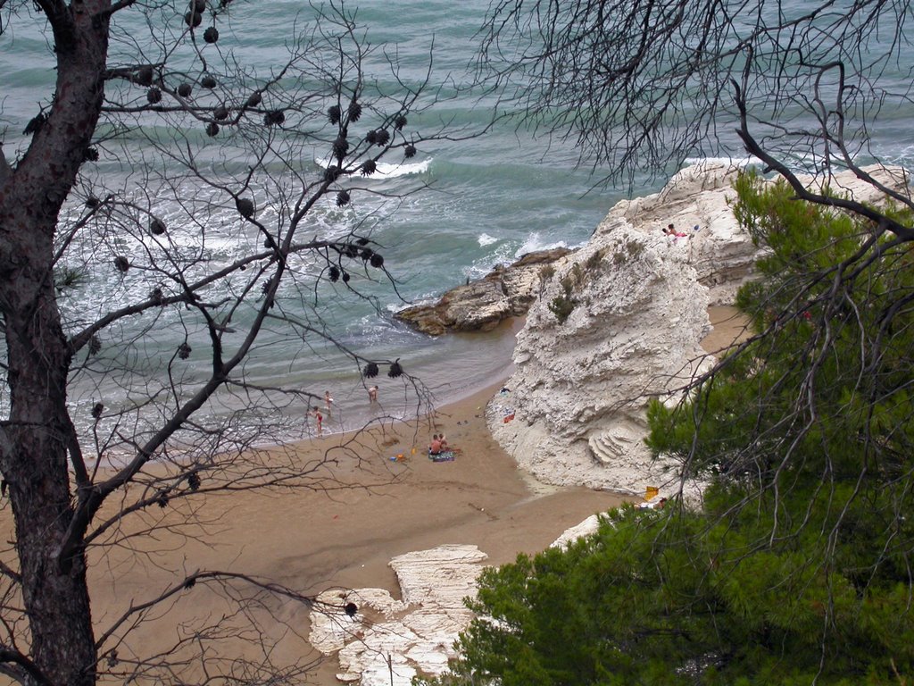 Vieste, la spiaggetta a Torre del Ponte by manlyone