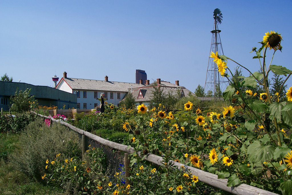 Garden at Fort Calgary Historic Park by Jacenty