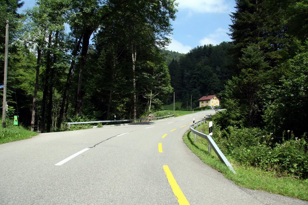 Hulfteggerstrasse von Steg by Samuel Fausch