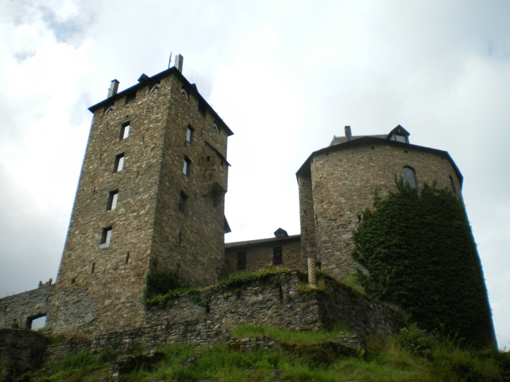 Château de Reinhardstein by felicien