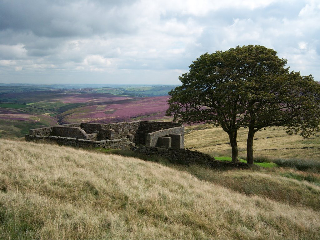 Top Withens late August by david crossley