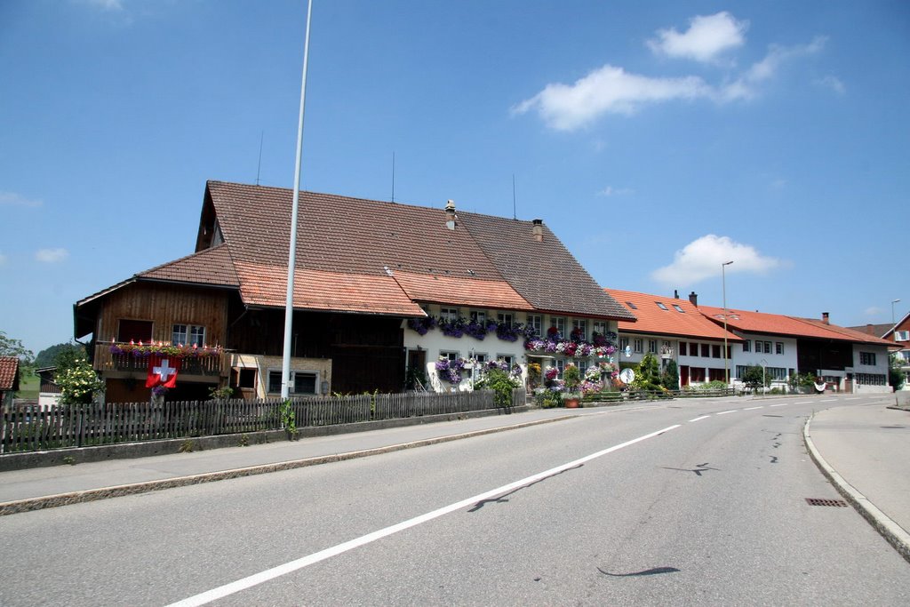 Wohnhäuser an der Tösstalstrasse in Hittnau by vodua